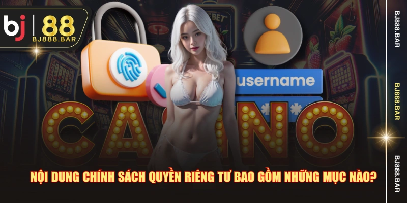 Nội dung chính sách quyền riêng tư bao gồm những mục nào?